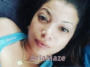 Aria_Maze