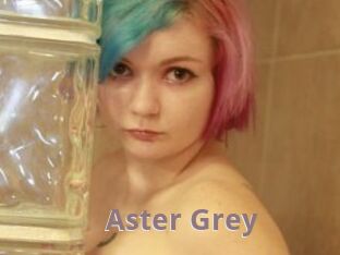 Aster_Grey