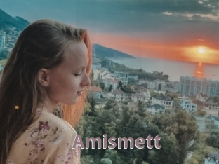 Amismett