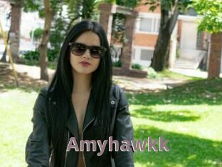 Amyhawkk