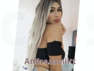 Andreasmiitt