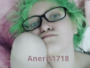 Aneris1718