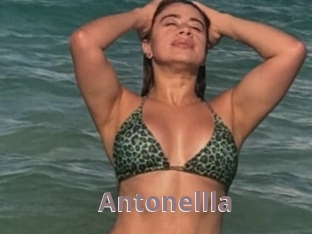 Antonellla