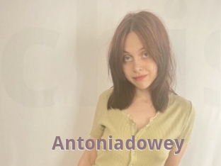 Antoniadowey