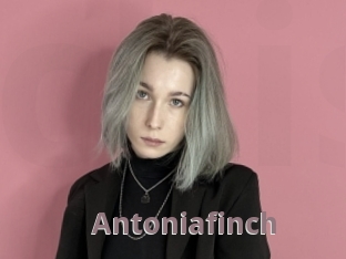 Antoniafinch