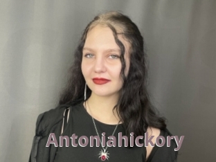 Antoniahickory