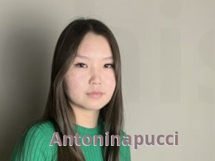 Antoninapucci