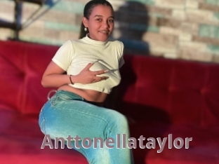 Anttonellataylor