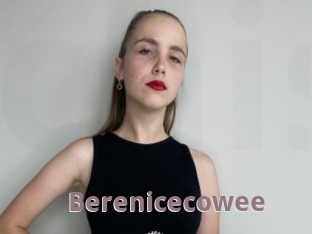 Berenicecowee