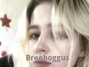Breeboggus