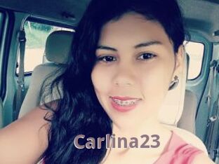 Carlina23