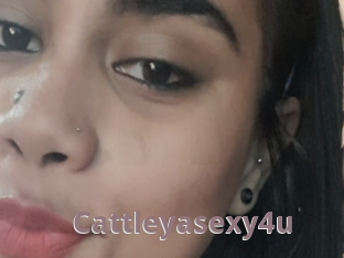 Cattleyasexy4u