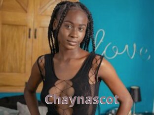 Chaynascot