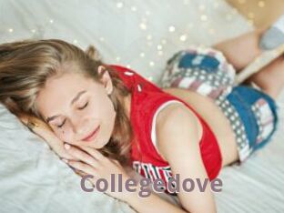 Collegedove