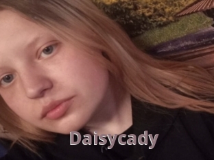 Daisycady