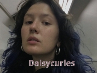 Daisycurles