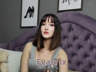 EvaBrix