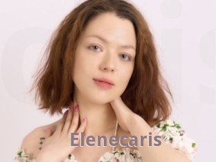 Elenecaris