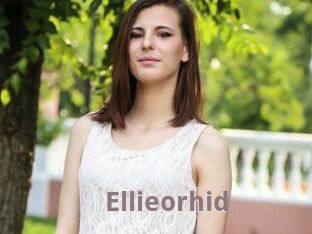 Ellieorhid