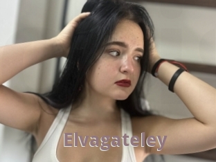 Elvagateley