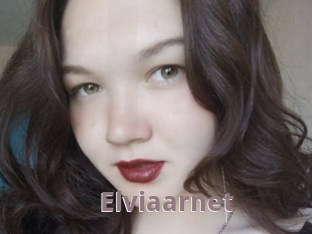 Elviaarnet