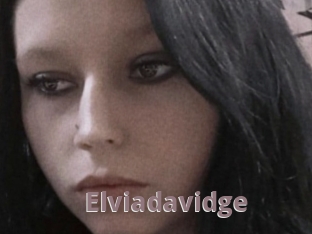 Elviadavidge