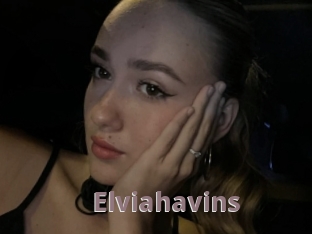 Elviahavins