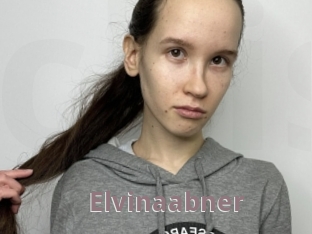 Elvinaabner