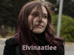 Elvinaatlee