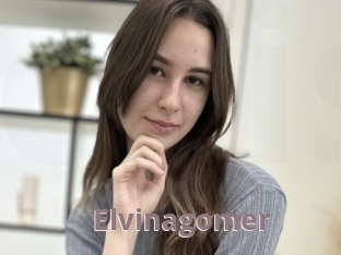 Elvinagomer