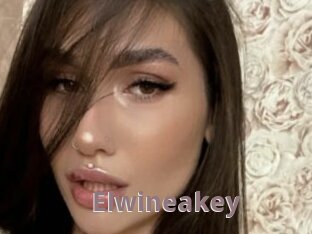 Elwineakey