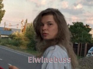 Elwinebuss