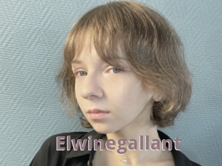 Elwinegallant