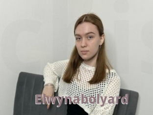 Elwynabolyard