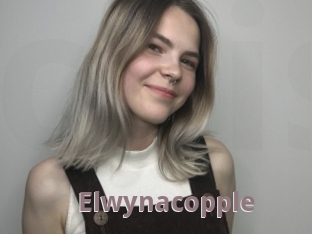 Elwynacopple