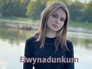 Elwynadunkum