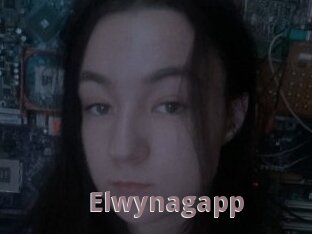 Elwynagapp