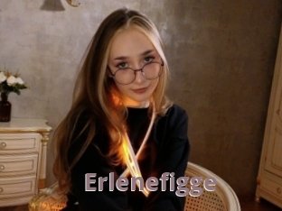 Erlenefigge