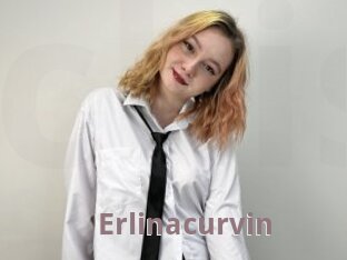 Erlinacurvin