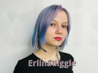 Erlinadiggle