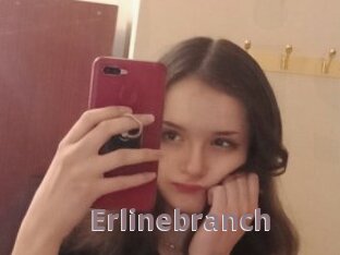 Erlinebranch