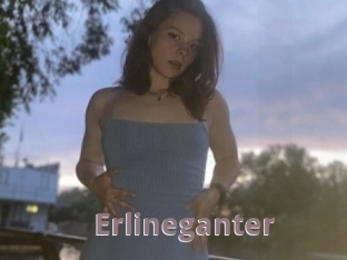 Erlineganter