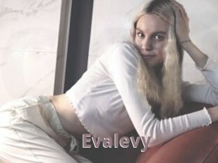 Evalevy