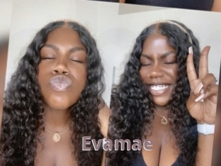 Evamae