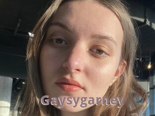 Gaysygarney