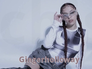 Gingerholloway