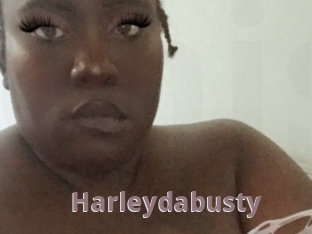 Harleydabusty