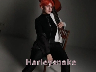 Harleysnake