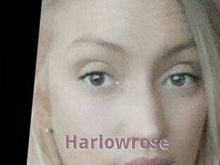 Harlowrose