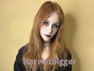 Harrietbigger